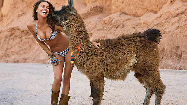 exotic-animals-post-video.jpg
